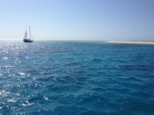 At our first dive spot, Michaelmas Cay. It is right in the middle of the reef and is a shallow reef.  Here is a picture from the sky:  http://www.seastarcruises.com.au/files/photos/0/41-photo-2e4575d2eb2c37298fd98a8a4fa0c539.jpg