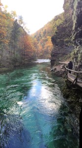 The Vintgar Gorge or Bled Gorge is a 1.6-kilometer (0.99 mi) gorge in northwestern Slovenia in the municipalities of Gorje and Bled, four kilometers northwest of Bled.  It is very pretty and the fall leave made it even more dramatic.